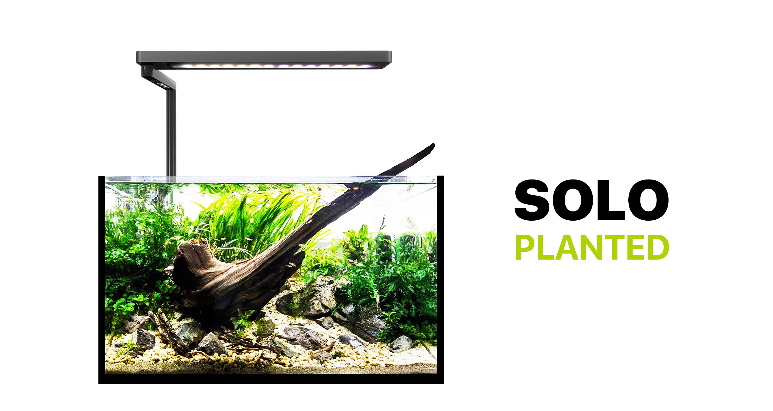 SOLO LED Aquarium Light | Compact Nano Tank Lighting