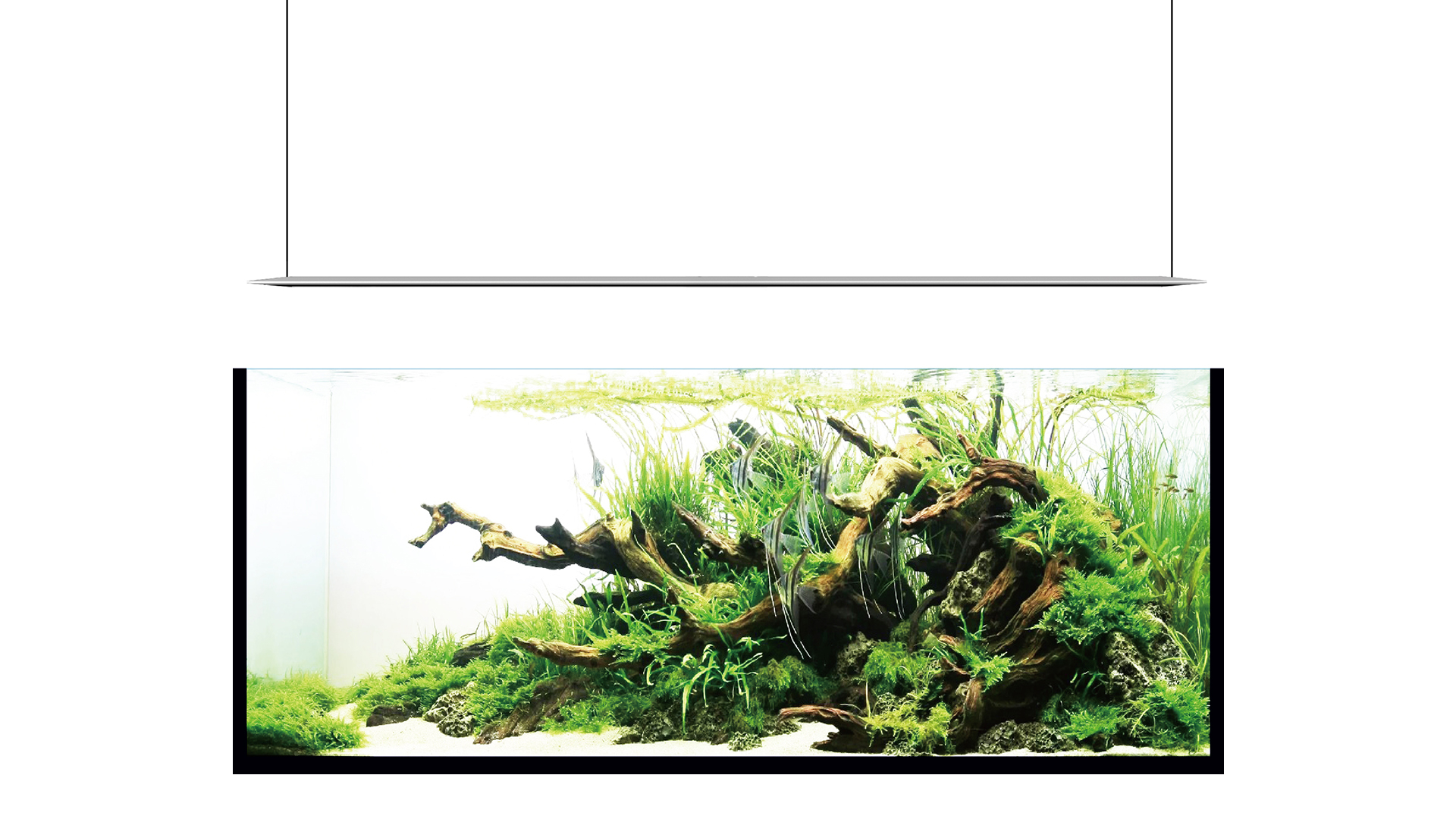 Micmol  Lampe Aqua CC 30W Plantes pour aquarium