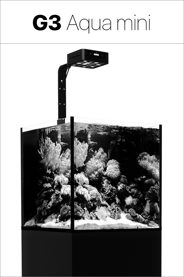Lampe 60W pour aquarium MICMOL spécial plantes - G3 Aqua Air