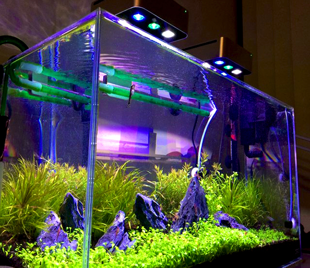 aqua mini - led aquarium light