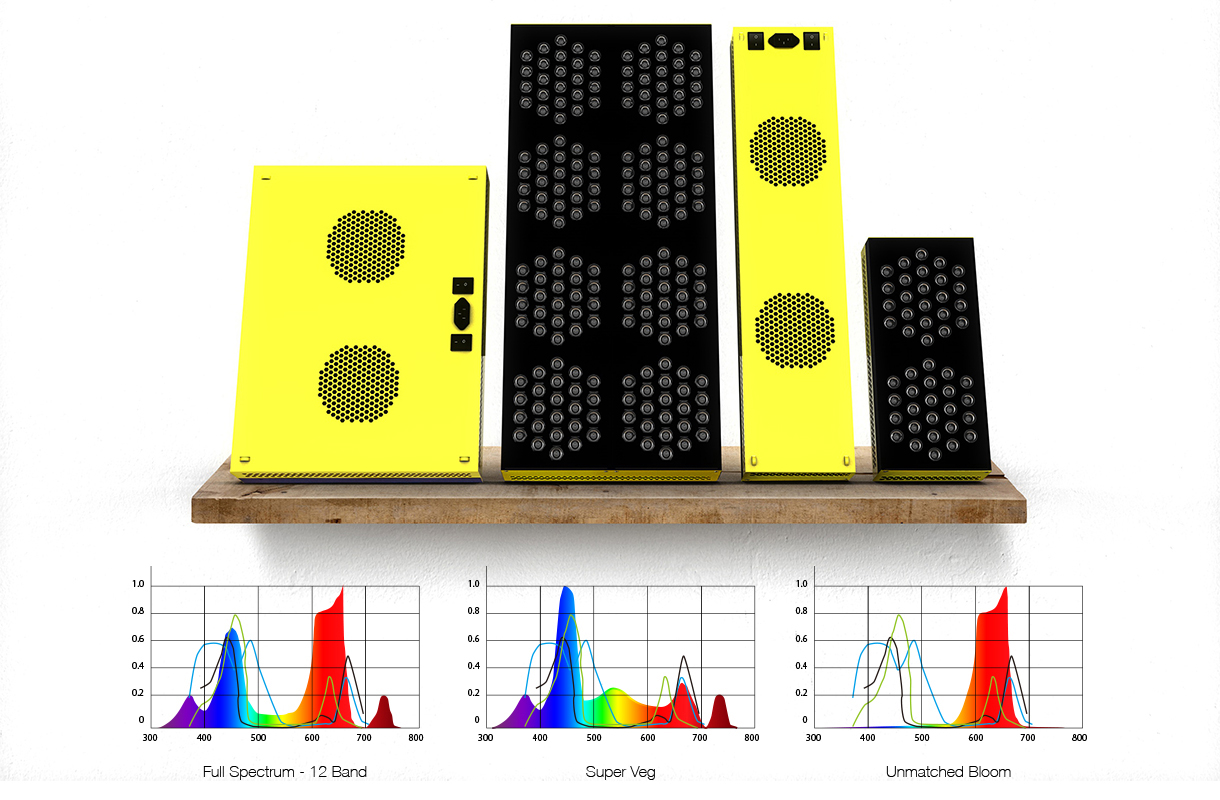 bloombee - led grow light