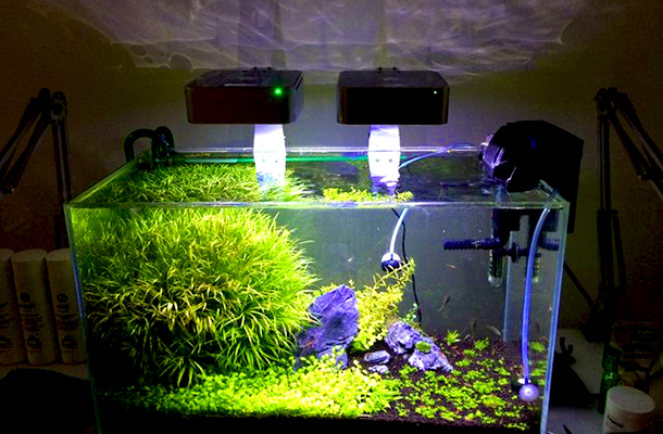 aqua mini - led aquarium light