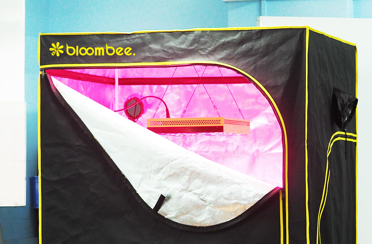 bloombee - led grow light