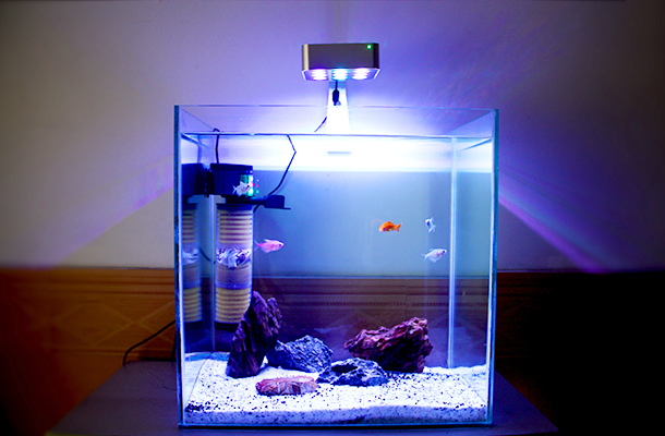 new aqua mini - led aquarium light