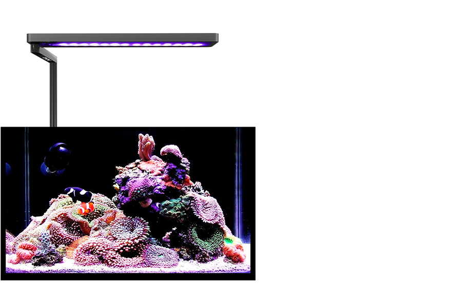 SOLO - LED Aquarium Light